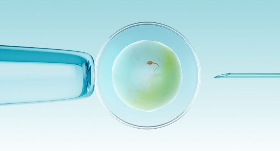 IVF Cost in Kuala Lumpur